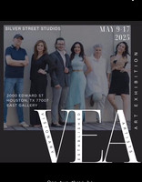 V.E.A. (Visionary Established Artists)